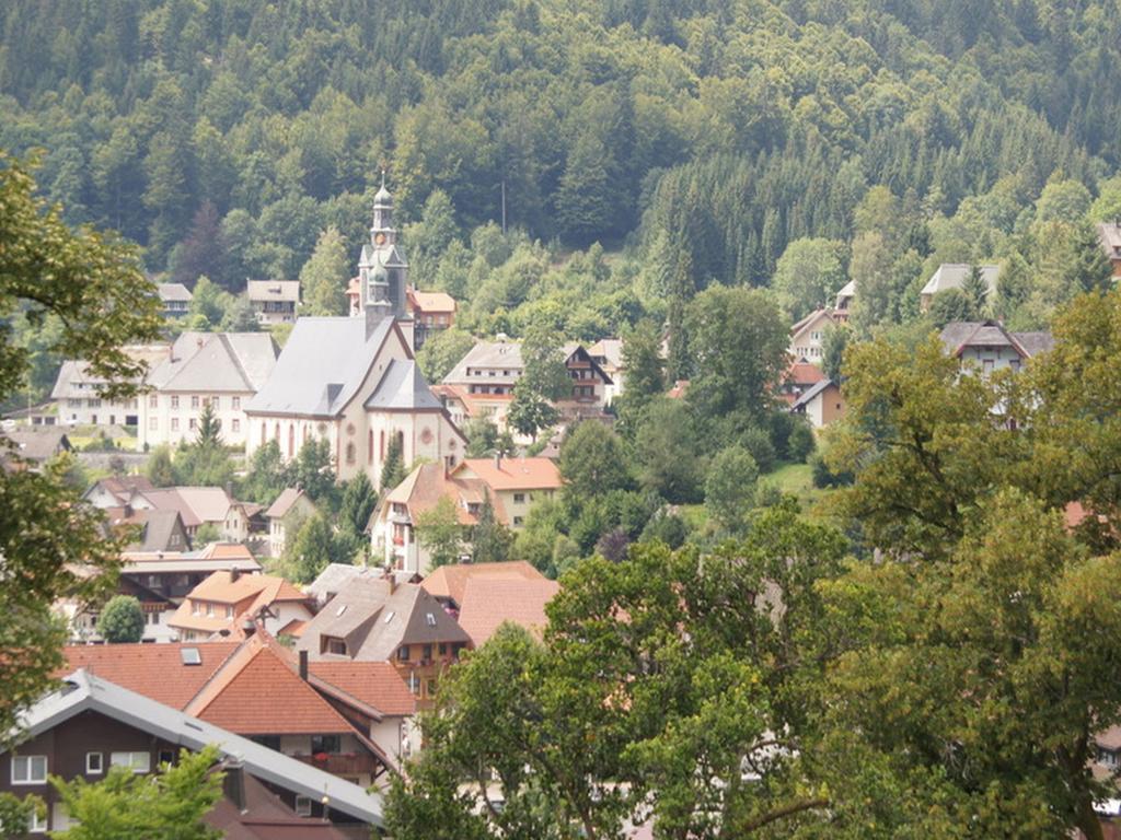 Haus Herzogenhorn Appartement Todtmoos Buitenkant foto